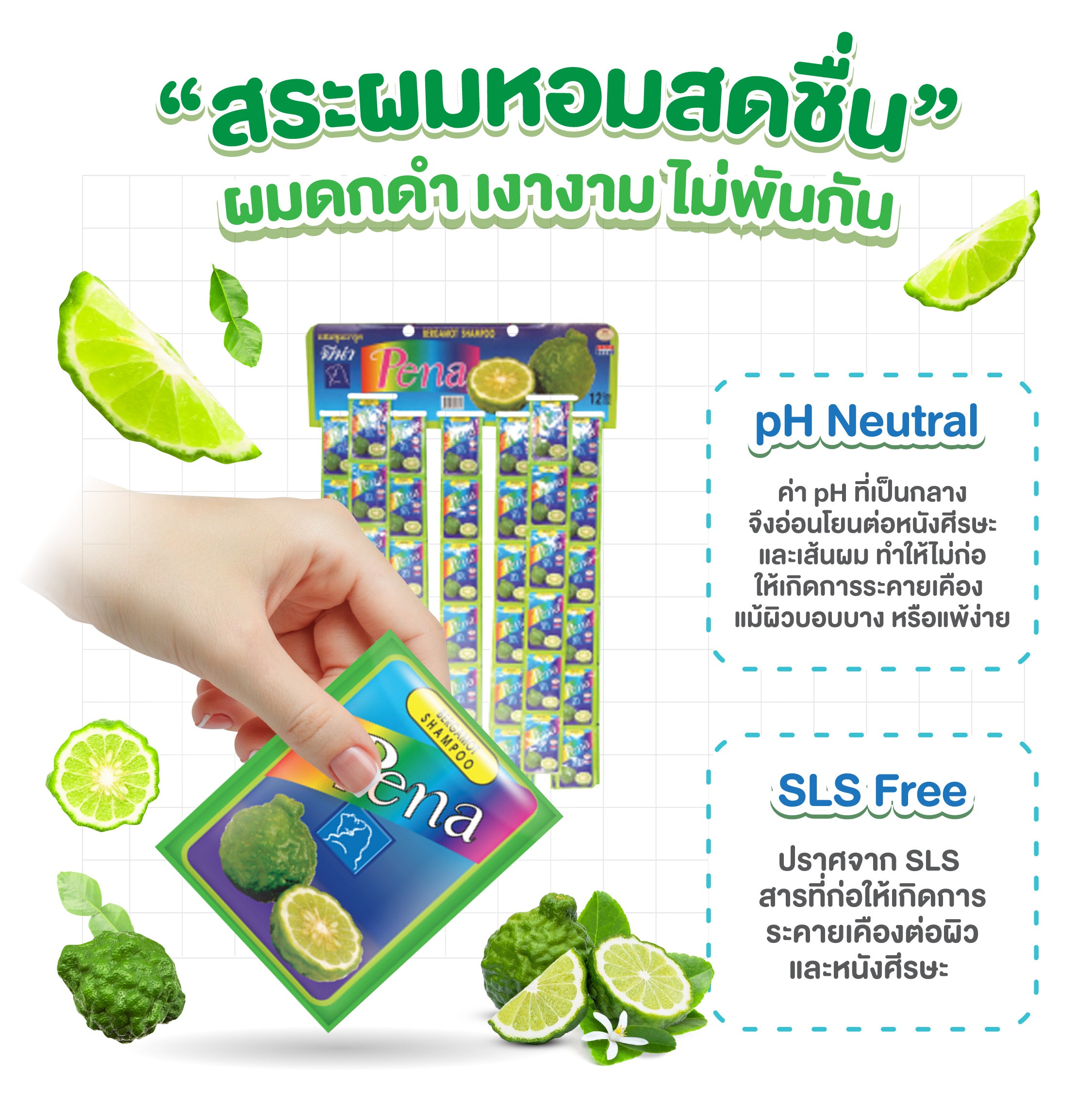 Pena Shampoo (5ml) 1x1 pk (144 sachets)