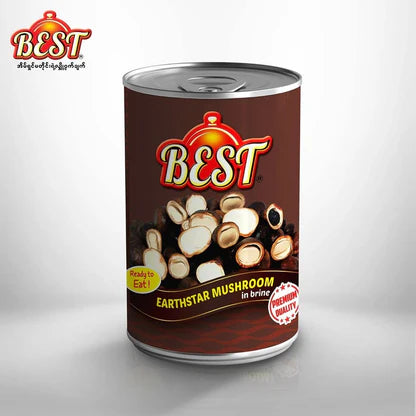 BEST Earthstar Mushroom (425g)